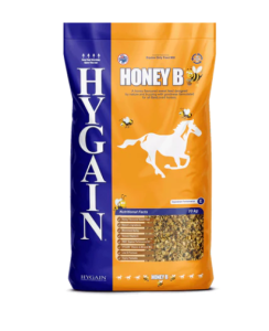 Honey B Equestrian services Equine Business