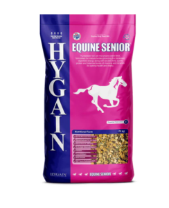 Equine Senior Equestrian services Business